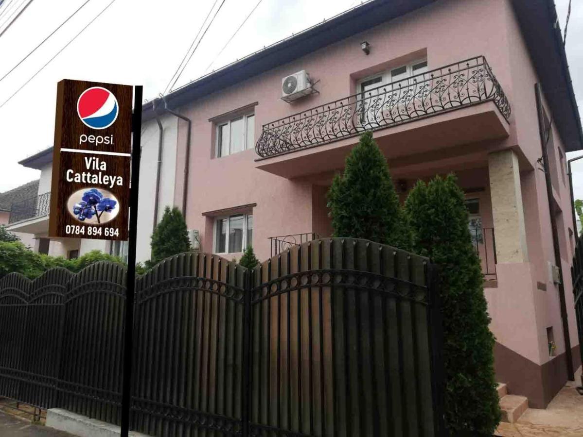 فندق Casa Cattleya Târgu Jiu المظهر الخارجي الصورة